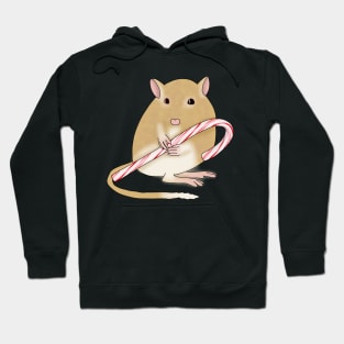 Cute golden gerbil with a candy cane Hoodie